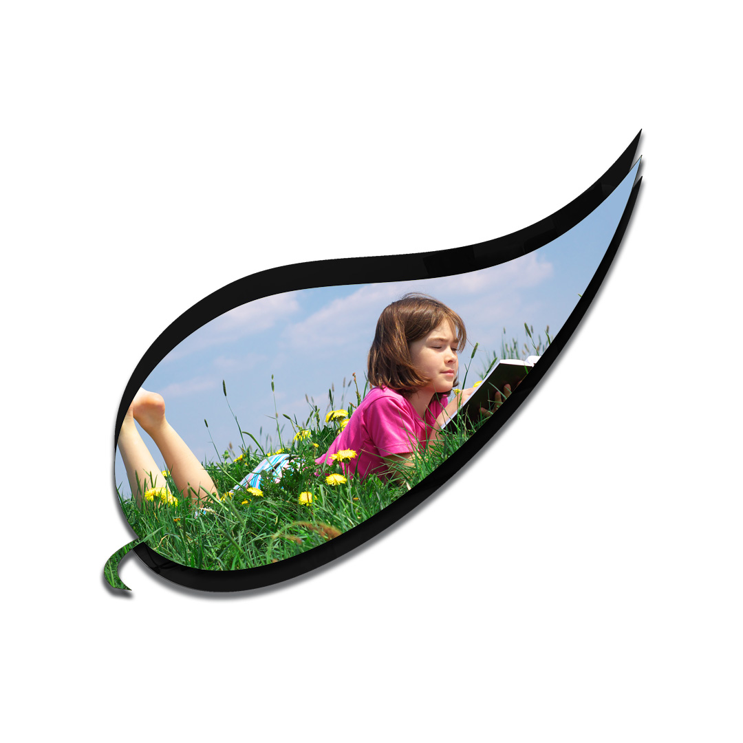 شاسی طرحدار کد  D09
